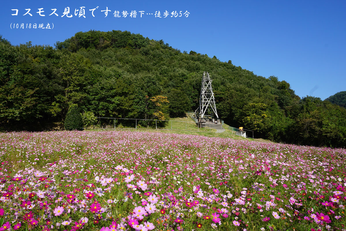 椋神社拝殿